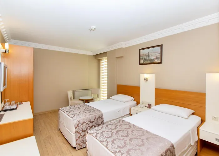 Hotel Baron Hotel&spa Istanboel