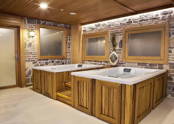 Baron Hotel&spa Hotel Istanboel