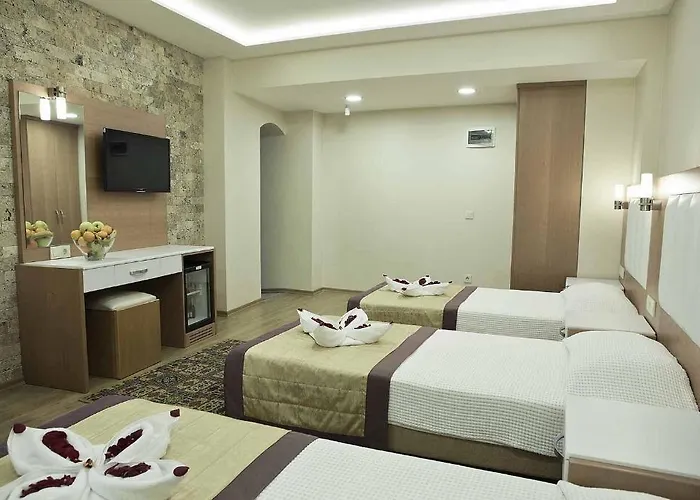 Baron Hotel&spa Hotel Istanboel